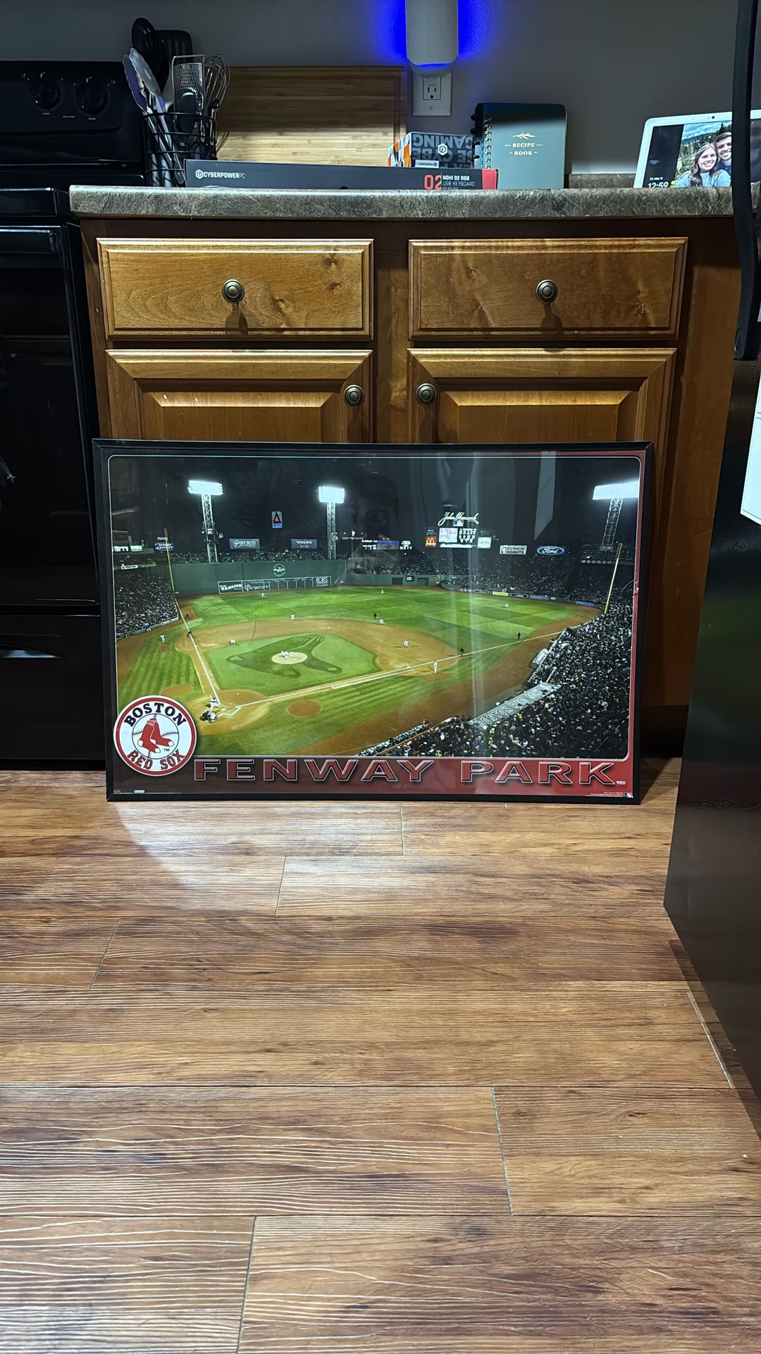 Fenway Park Framed Picture