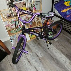 Purple Bike