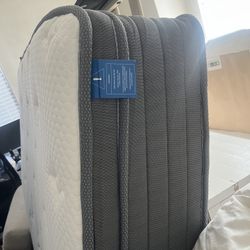 $25 11” Pillowtop Mattress QUEEN