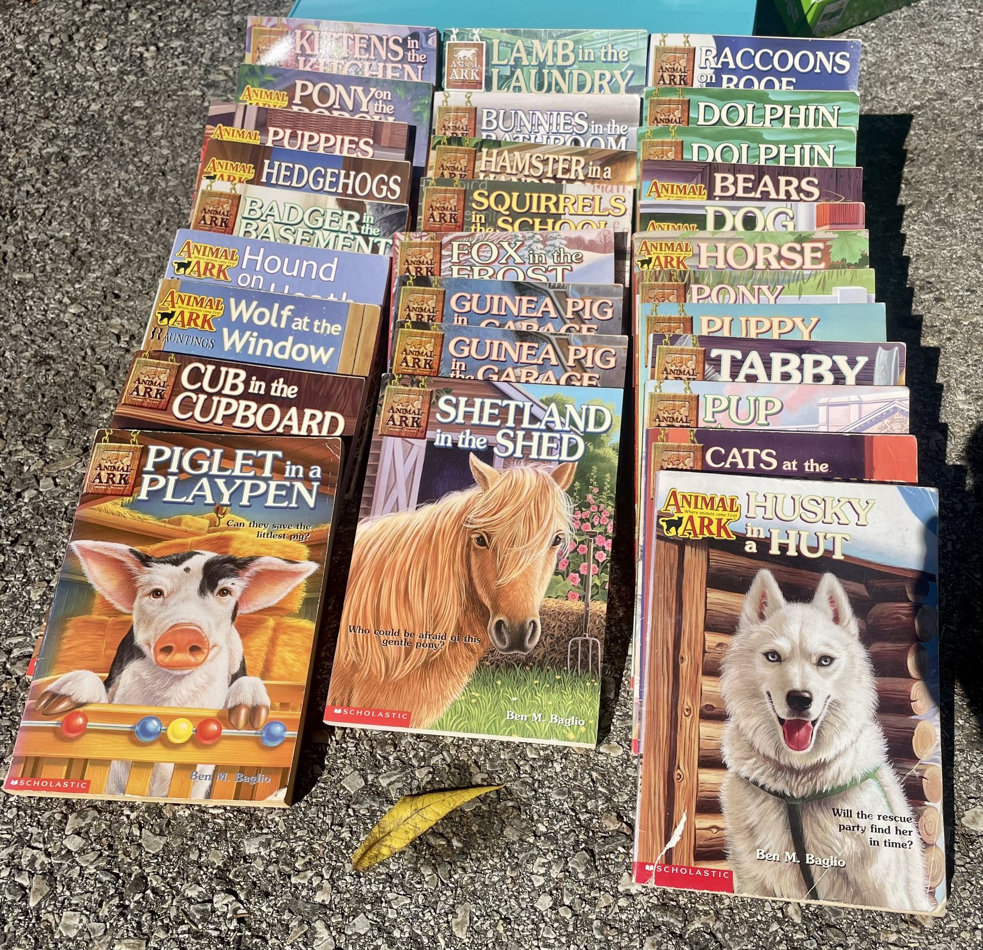 Huge Bundle Of 43 Animal Ark Books!