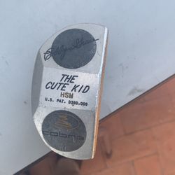 Cobra Putter in good condition