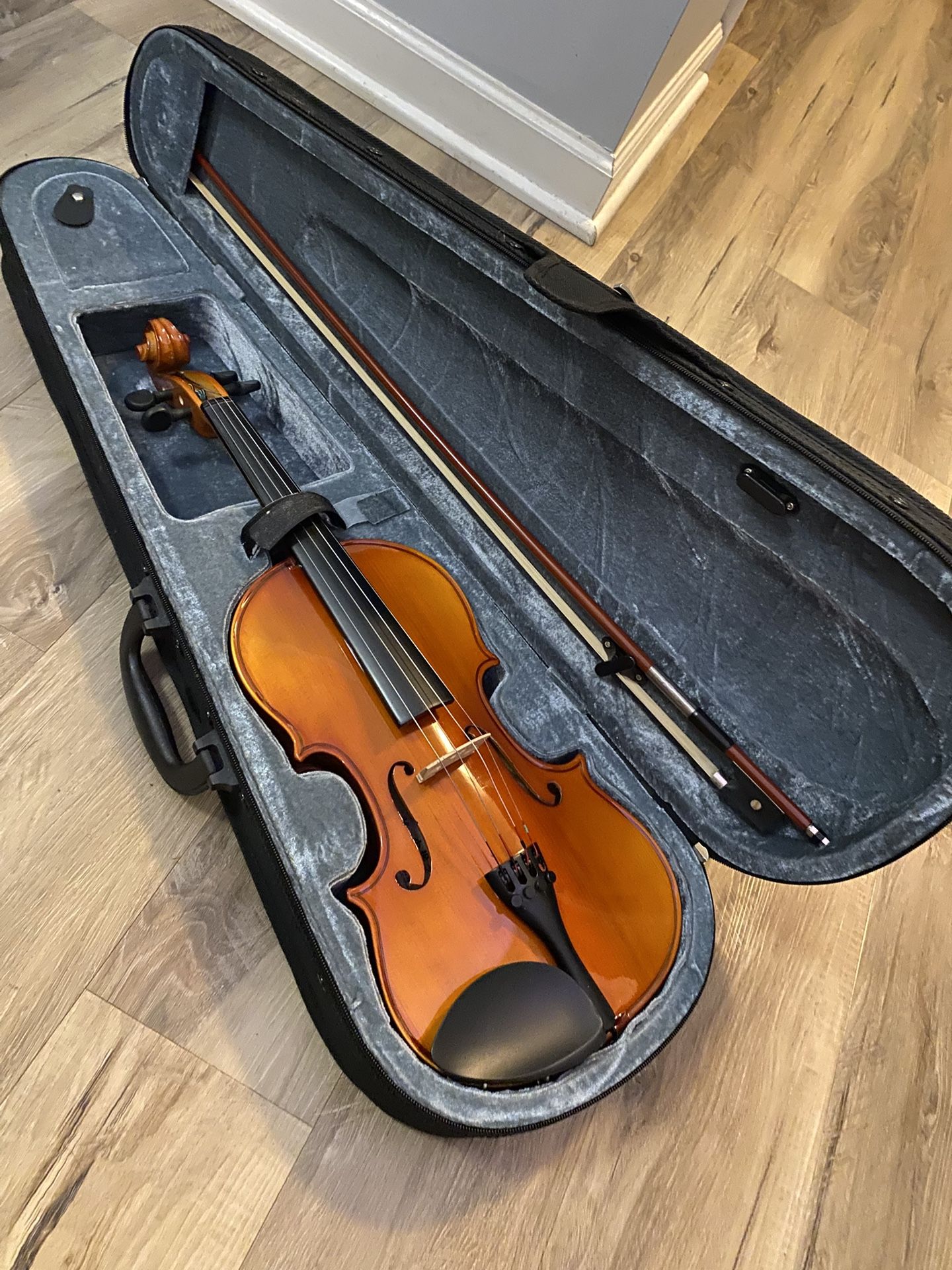 Violin with Case and Strings