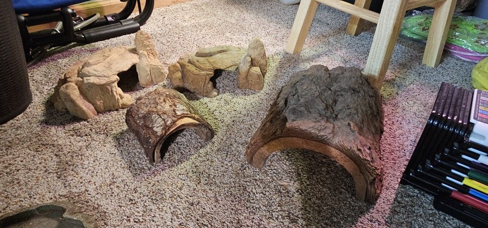 Reptile Bowls And Hides
