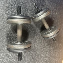 Set of Cast Iron Dumbbells.   54 # [NO LOWER PRICE]