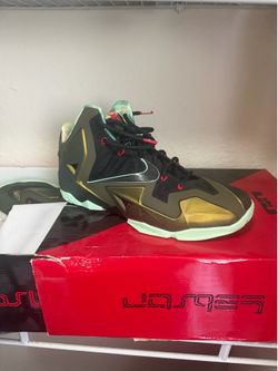 Nike LeBron 11 “King’s Pride” size 11.5