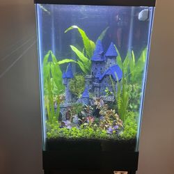 15 gal column fish tank and stand plus more