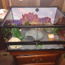 Xterra Terrarium 