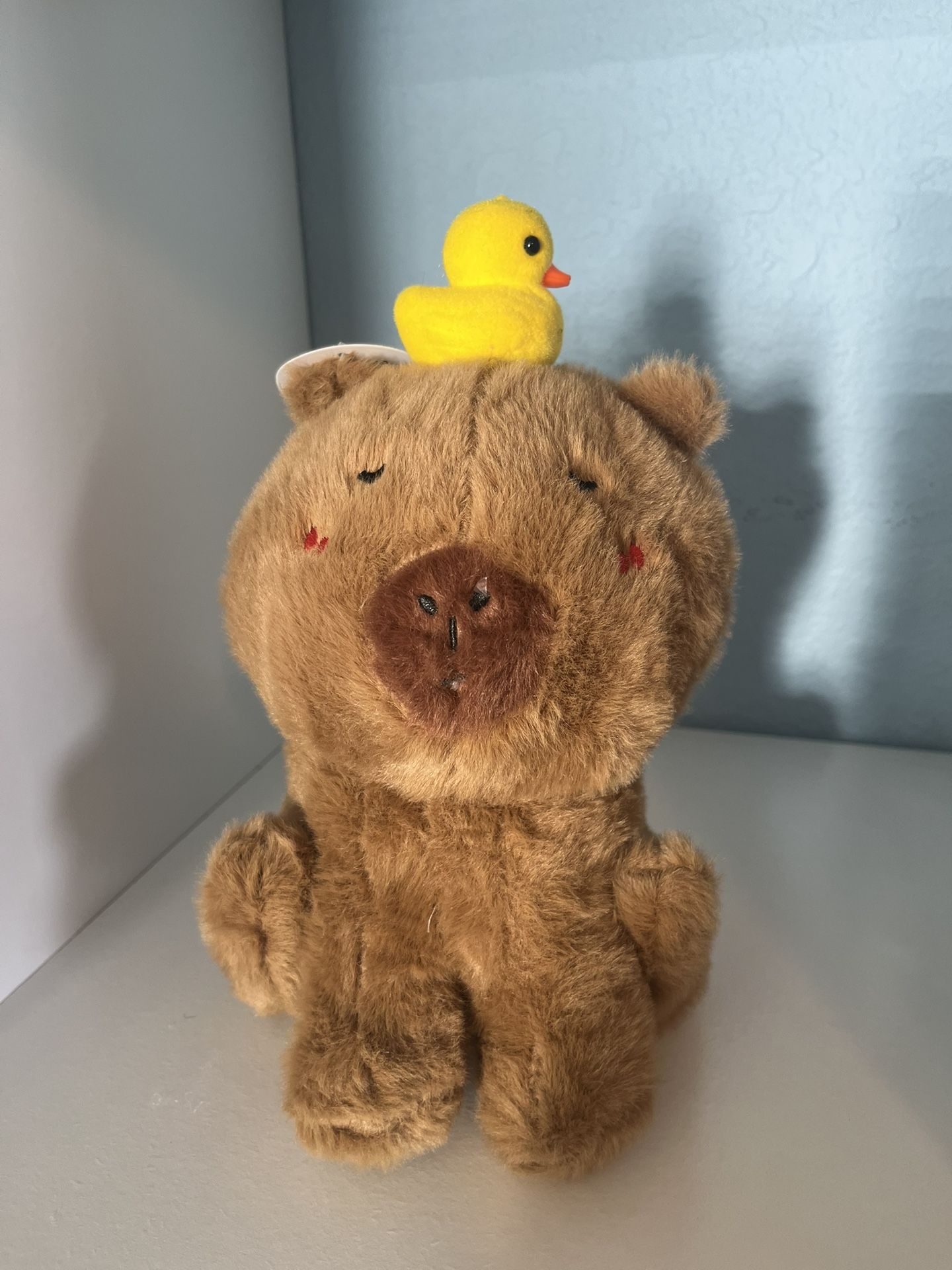Capybara With A Duck Plush