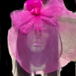 Elegant Fastenator Hat