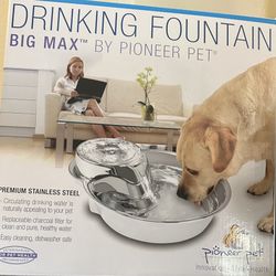 Pet Fountain 