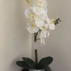 fake flower I have 2 $16 each 