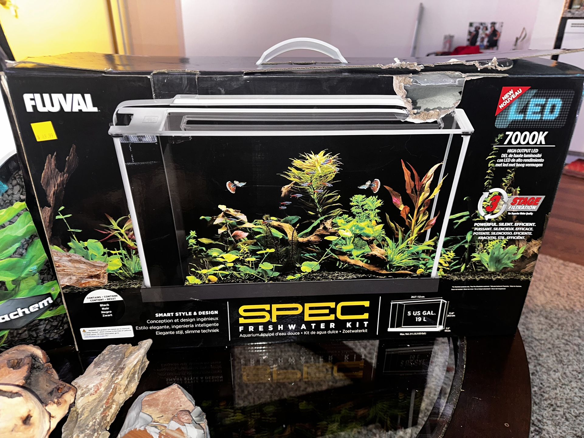 Fluval 5 gallon aquarium