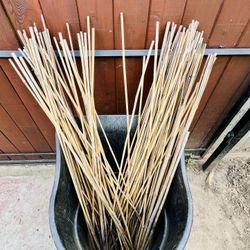Free Bamboo Garden Stakes