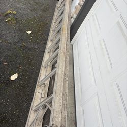 Ladder