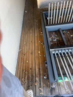Auto glass holders