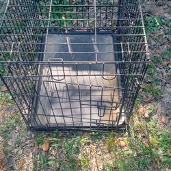 Puppy Dog Starter Kit Crate Cage Toys Treats for Sale in Peoria, AZ -  OfferUp