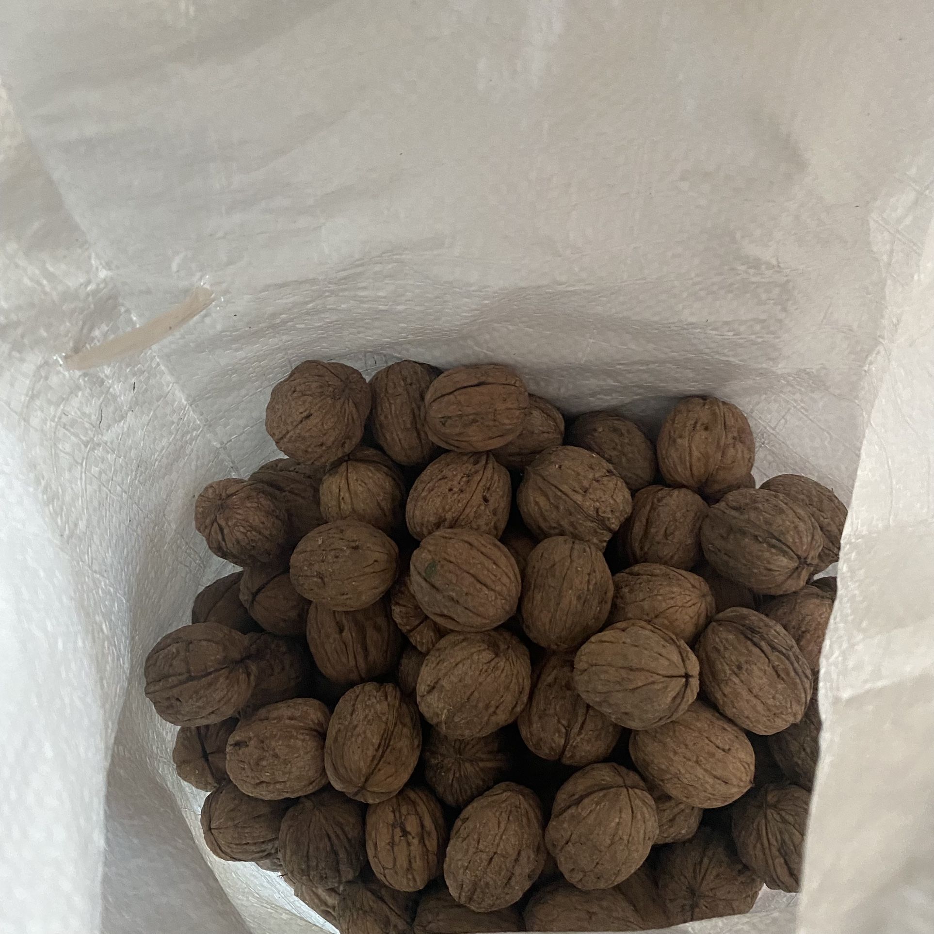 Natural Walnuts