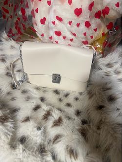 Elegant Cream Off-White Crossbody Flap Bag with Silver Chain