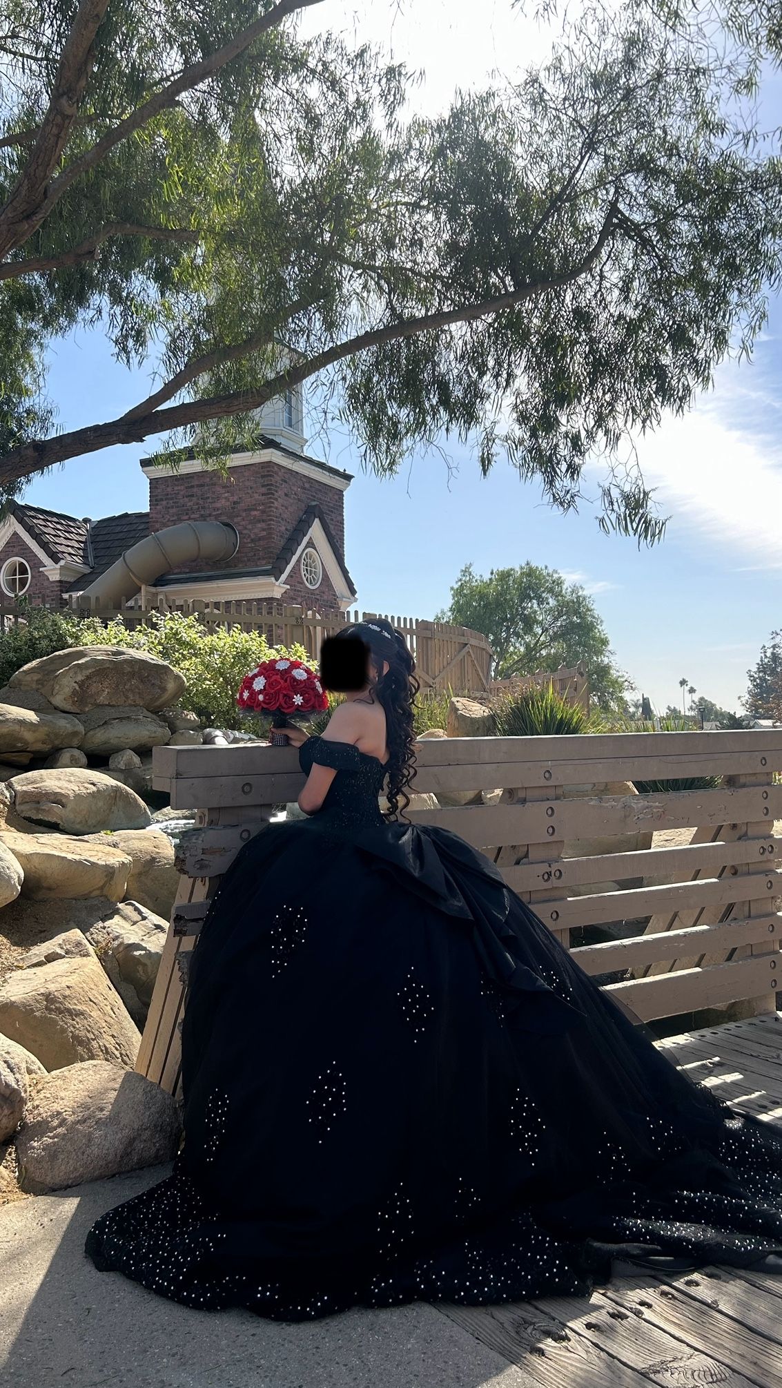 Sweet 15 Dress For Sale