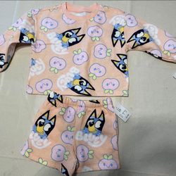 Toddler Girl Bluey Outfit Size 2T - New