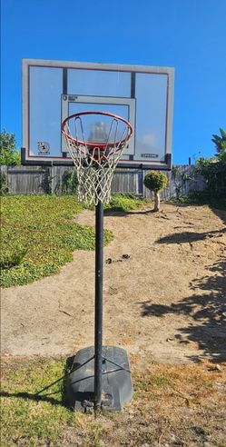 Lifetime Portable Adjustable Basketball Hoop