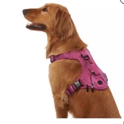 Kong dog Harness -1 M and 1 L