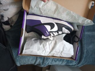 Sb Dunk Low Court Purple