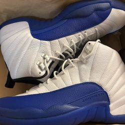 Jordan 12 Blueberries Sz 13