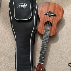 Concert Ukulele with Gig Bag – Great Condition