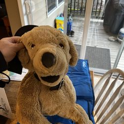 Cute Stuffed Animal Dog 