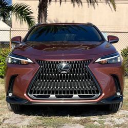 2025 LEXUS NX 250