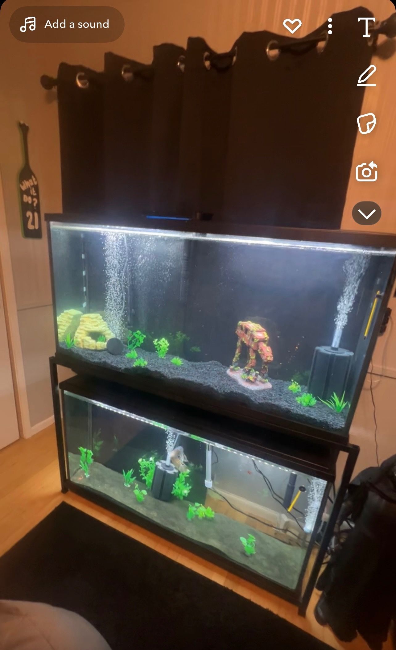 Double Fish Tank Stand For Two 55 Gallon Tanks