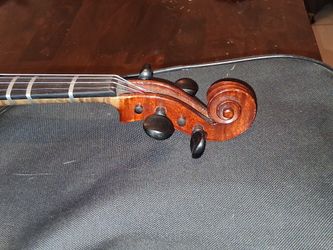 Violín