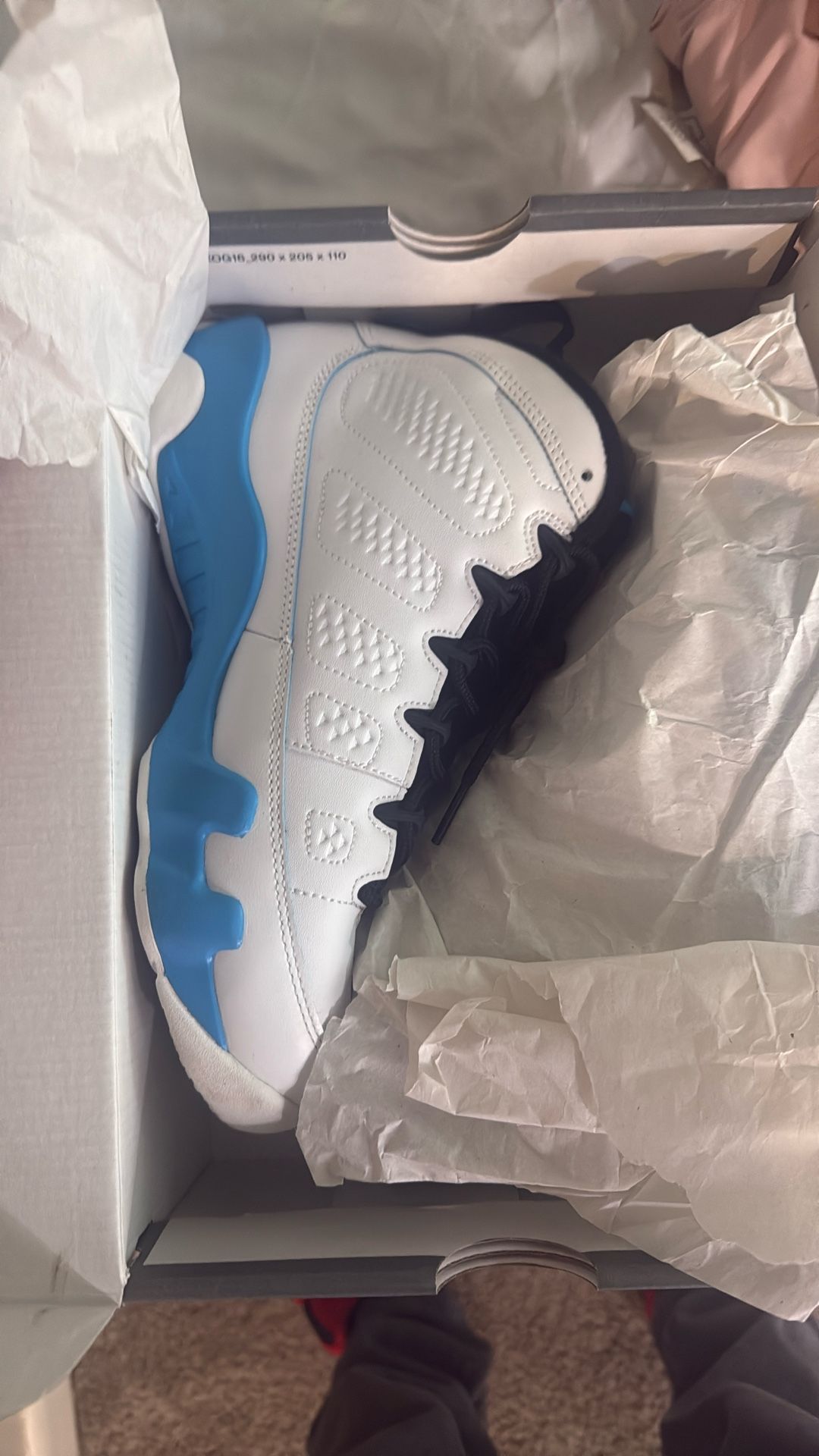 Jordan 9 GS