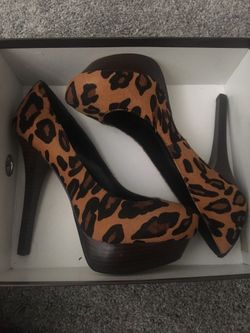 Woman’s Sexy BEBE Heels