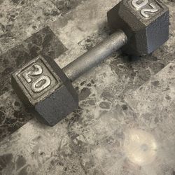 20lb Dumbbell 