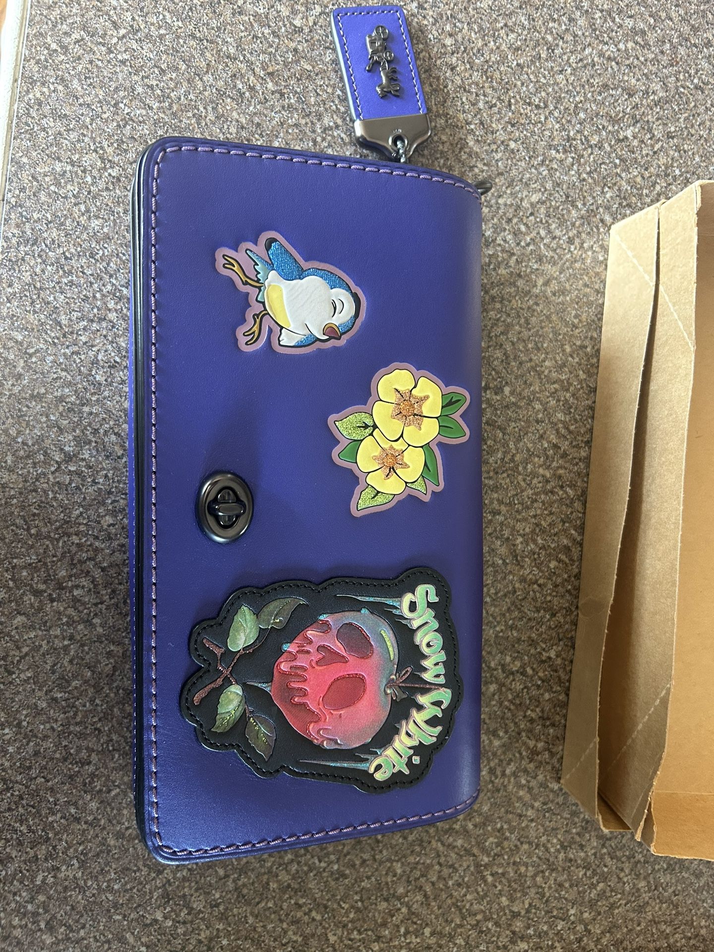 Disney Coach