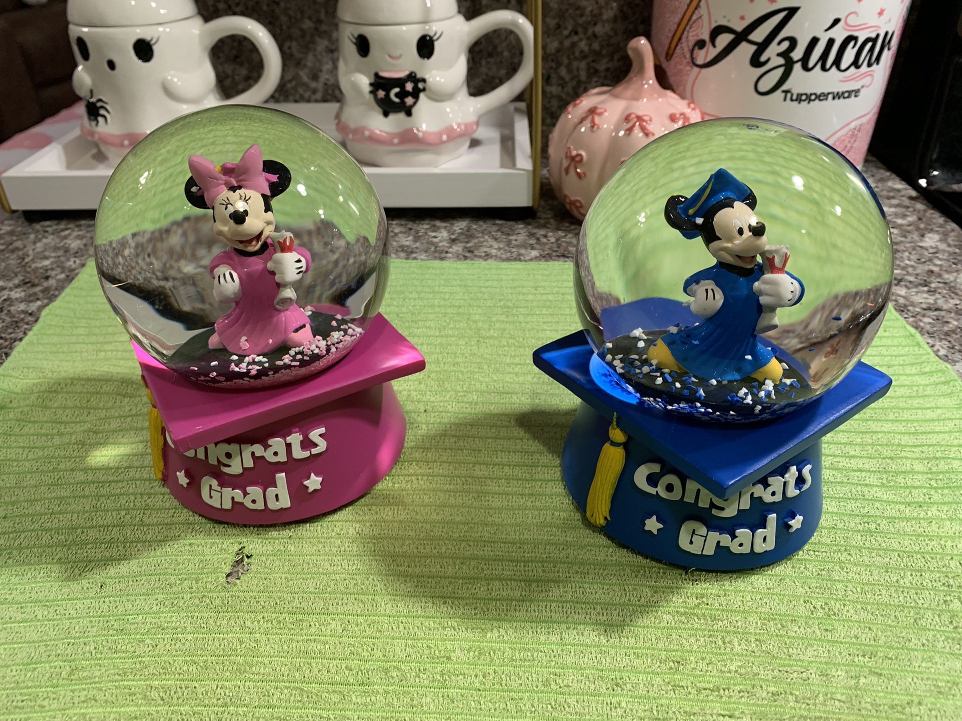 Disney Snow Globe 