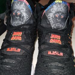 Nike Lebron James GANG 23s Size 12 Men. for Sale in Stockton CA OfferUp