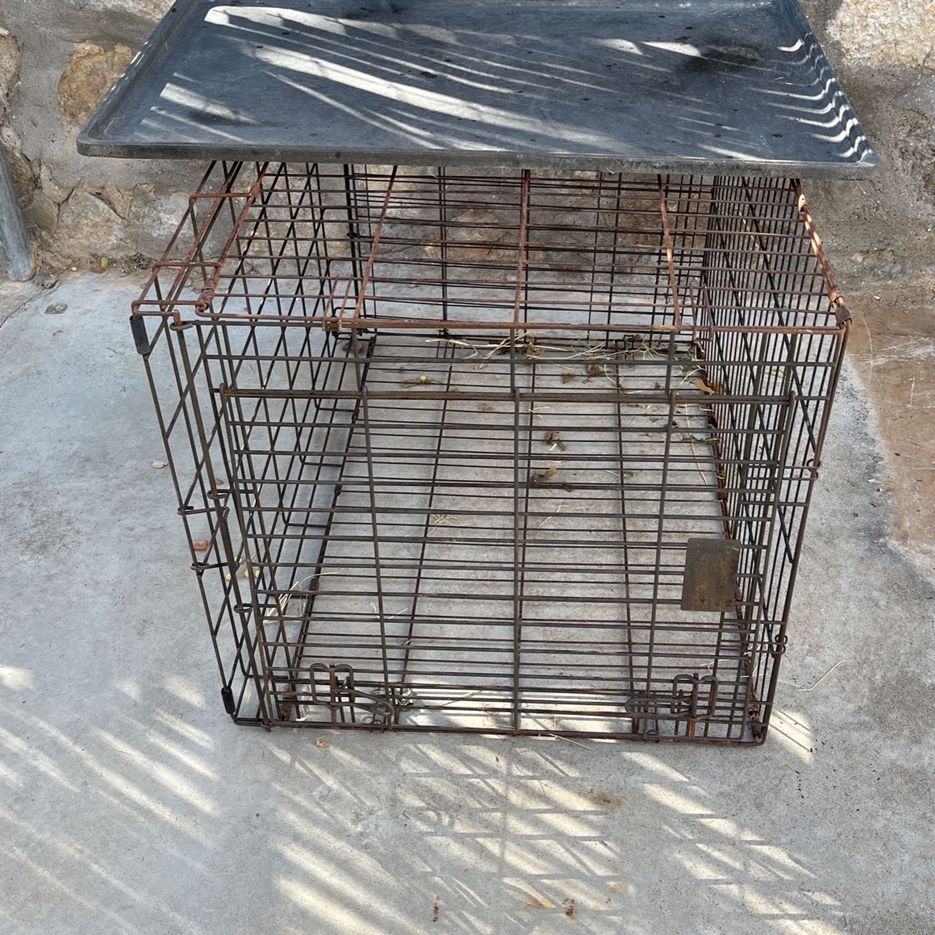 Dog Kennel for Sale in El Paso, TX OfferUp