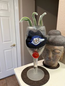 Live Monkey Tail Plant Cactus 16 in Tall Wine Glass Medusa (Please read full description)