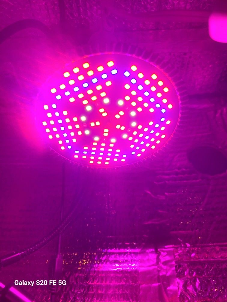 Grow Lights