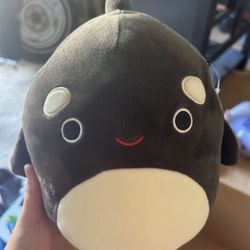kai the killer whale (orca) squishmallow