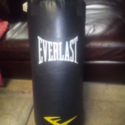 Everlast Punching Bag 40lb