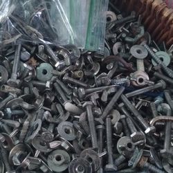 Wingnuts 10 For 1 Dollars 