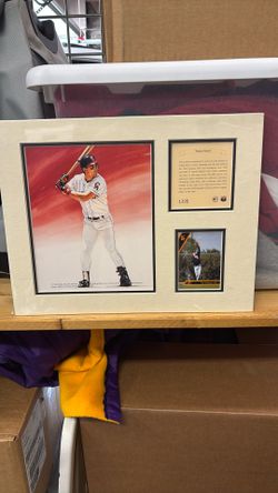 Tim Salmon “Rookie Smash” Player Display Poster/card 