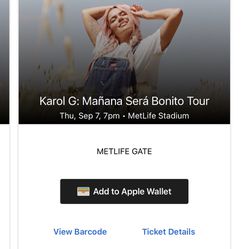 2 Karol g Tickets For Sale 