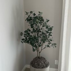 Tree Plant Only