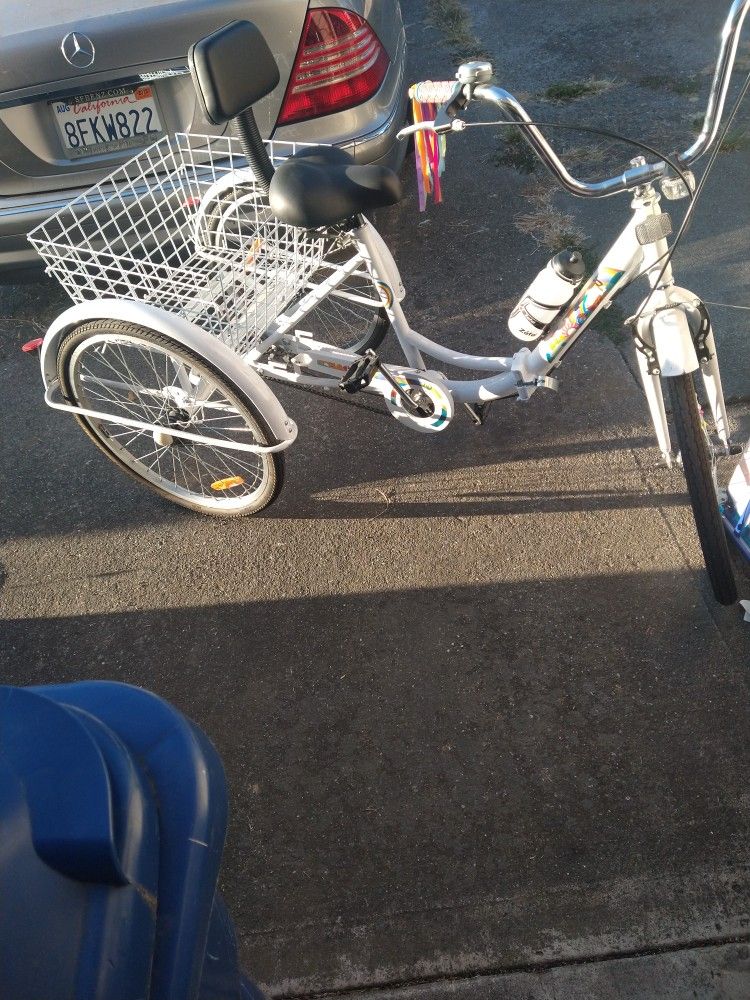 Female Trike Bike 