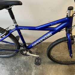 Cannondale 17 Inch Frame Size Mountain Bike Mavic Wheels 